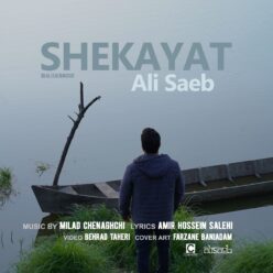 دانلود آهنگ علی صائب شکایت